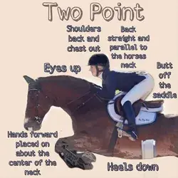 Halfseat, or two-point: jumping help for riders