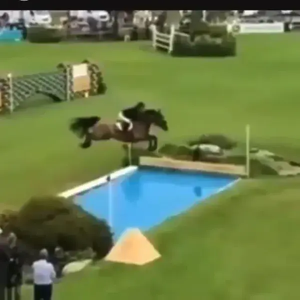 This is so amazing, that horse has wings