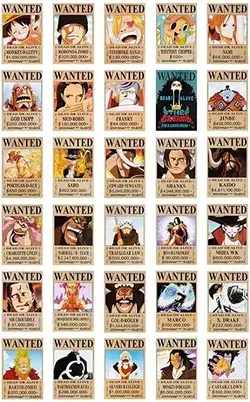 One Piece Wanted Poster