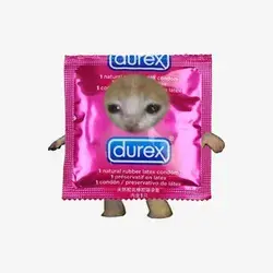 The Durex Cat