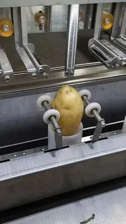 Potato cutting Machine
