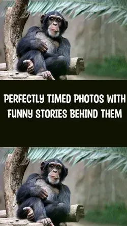 Perfectly Timed Photos With Funny Stories Behind Them