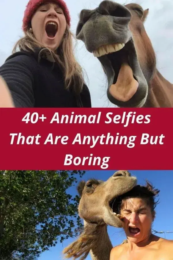 40+ Animal Selfies That Are Anything But Boring