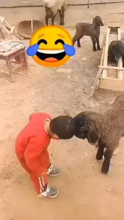Funny video 🥰🥰