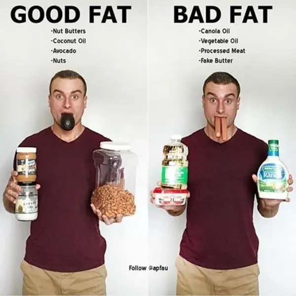 Good Fat vs. Bad Fat