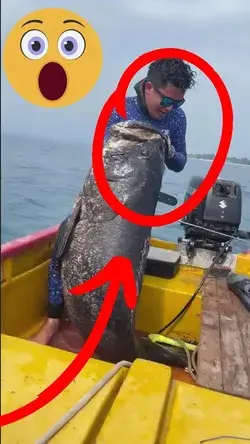 The huge fish 🎣😮🔥