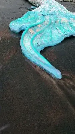 Michigan Mermaid 
