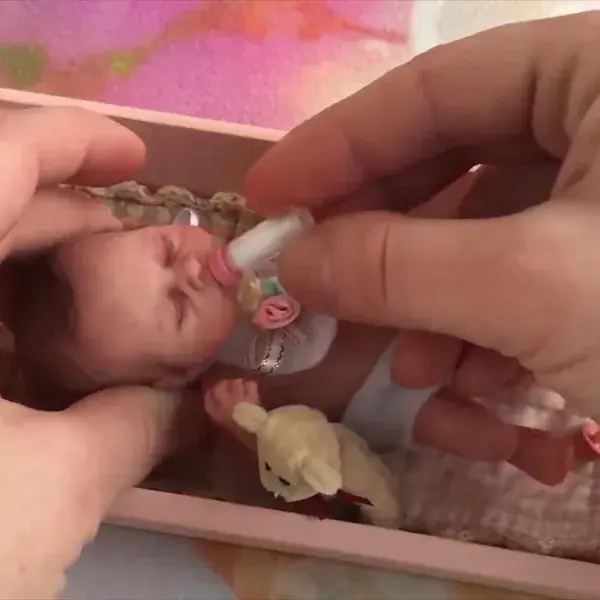 【50% OFF】Reborn Baby Dolls Toy for Children Gift Ideas