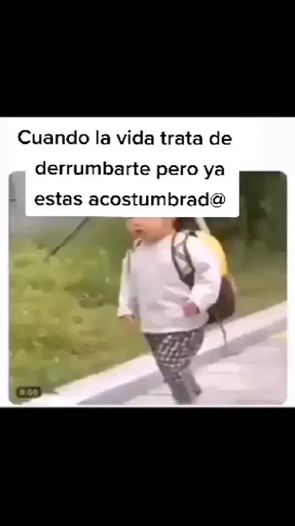 Expertas en sacudirnos el polvo 😂