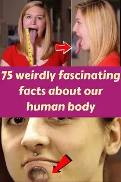 75 weirdly fascinating facts about our human body