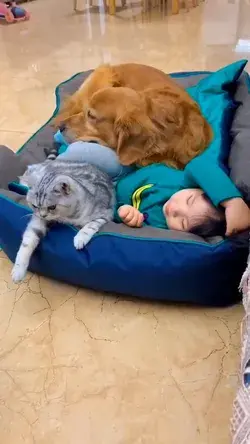 dog and baby funny