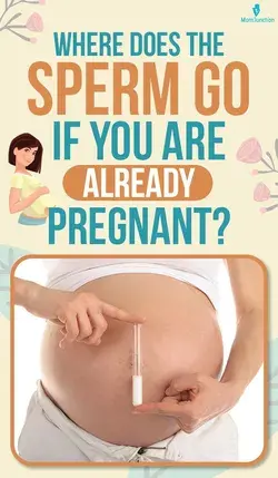 Where Does The Sperm Go If You Are Already Pregnant?