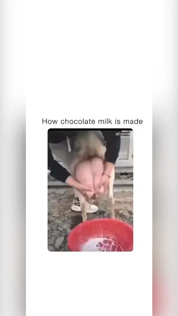 That milk tastes like $hit😂#funny #hilarious #memes #goat #chocolatemilk