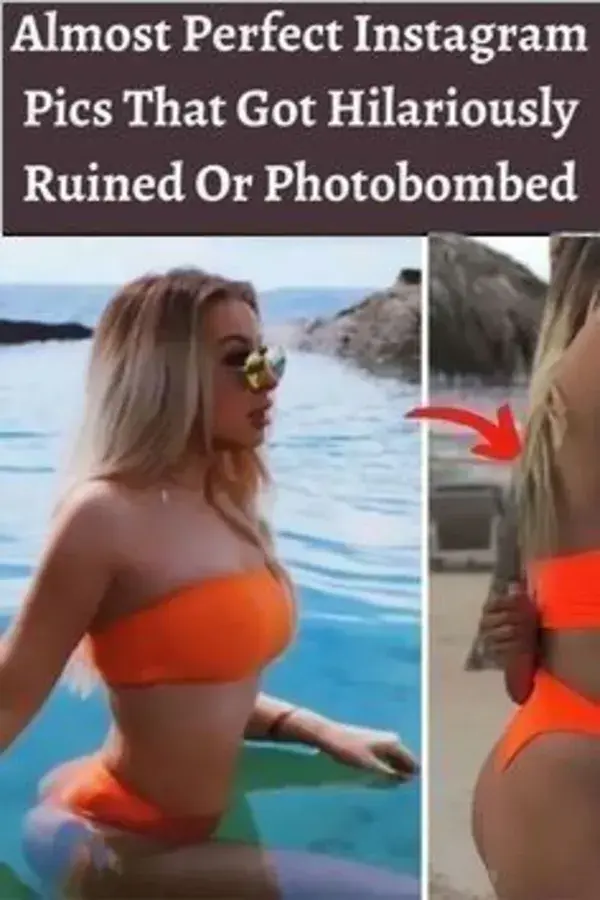 Almost Perfect Instagram Pics That Got Hilariously Ruined Or Photobombed