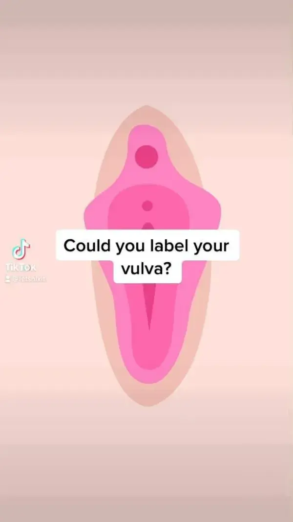 How well do you know your vulva?