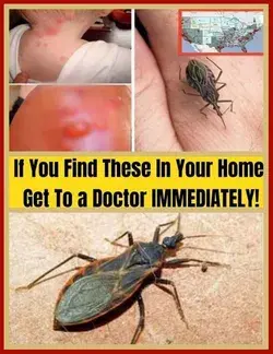 WARNING If You Find These In Your Home Get To a Doctor IMMEDIATELY! #health…f