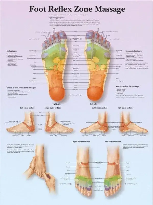 Foot Reflex Zone Massage Chart Poster EDUCATIONAL SCIENCE - Etsy UK