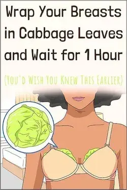 Women Are Putting Cabbage Leaves On Their Breast, Reason Behind It Will Make You Happy