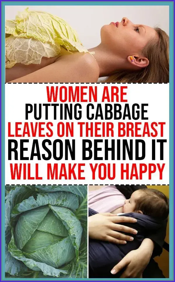 Women Are Putting Cabbage Leaves On Their Breast, Reason Behind It Will Make You Happy�