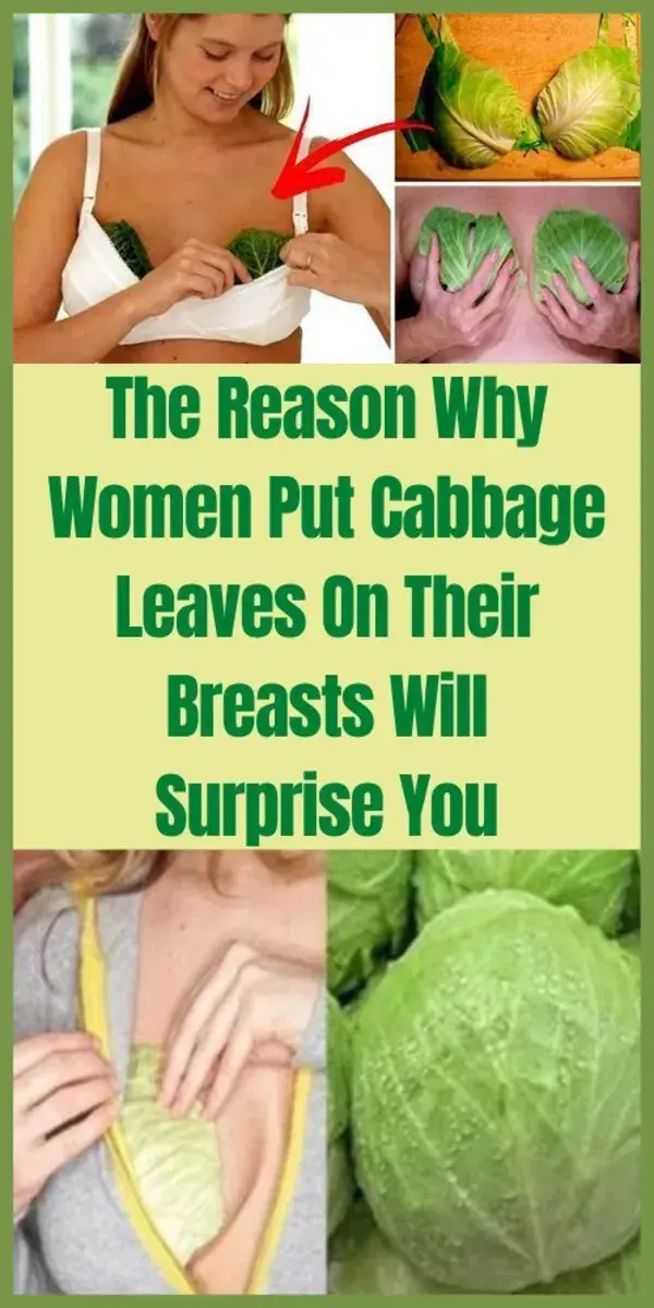 The Reason Why Women Put Cabbage On Their Breasts Will Surprise You