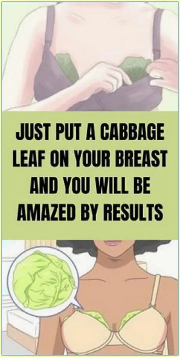 PUT A CABBAGE LEAF ON YOUR BREAST AND YOU WILL BE AMAZED BY RESULTS!