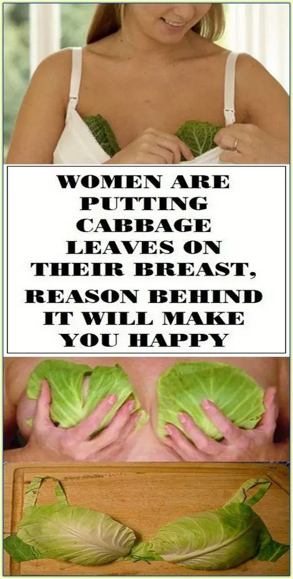 PUT A CABBAGE LEAF ON YOUR BREAST AND YOU WILL BE AMAZED BY RESULTS!