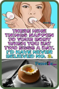 What Happens When You Eat 3 Whole Eggs Every Day�You�ll Be Surprised What It Does To Your Body!