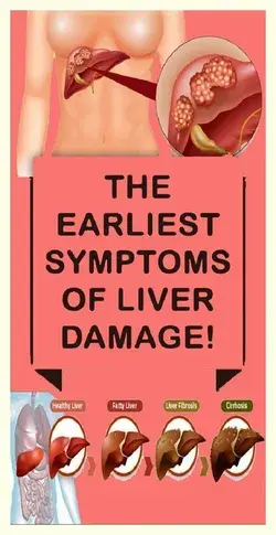 10 Warning Signals of Liver Damage You Should Not Ignore