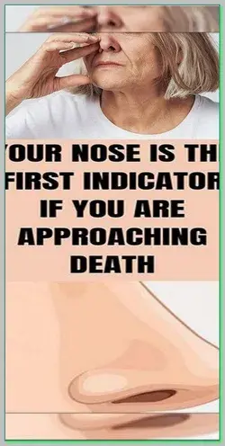 YOUR NOSE IS THE FIRST INDICATOR IF YOU ARE APPROACHING DEATH