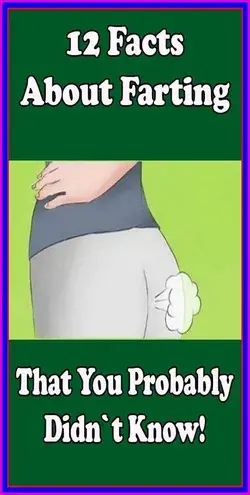 12 Facts About Farting You Probably Didn�t Know