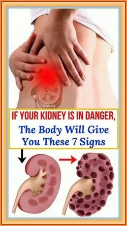 If Your Kidneys Are In Danger, Your Body Will Give You These 7 Signs