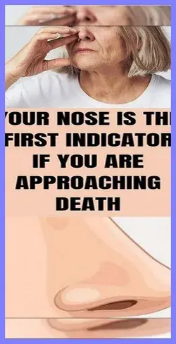 YOUR NOSE IS THE FIRST INDICATOR IF YOU ARE APPROACHING DEATH