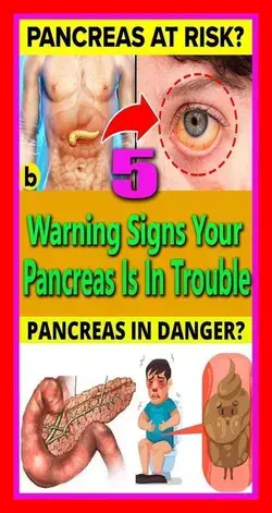 5 Warning Signs That Your Pancreas Is In Danger