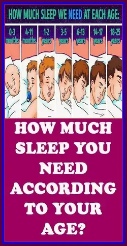 How Much Sleep Do You Really Need Each Night?