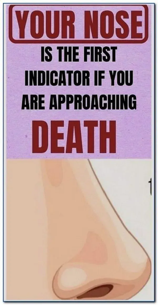 Your Nose is the First Indicator if You are Approaching Death