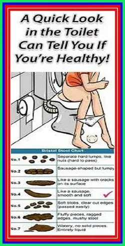 A Quick Look In The Toilet Can Tell You If You�re Healthy!