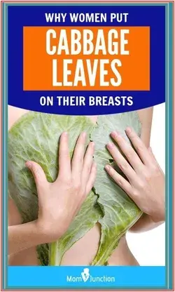 Wrap Your Breasts In Cabbage Leaves And Wait For 1 Hour