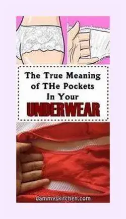 What Is the Purpose of the Pocket in Womens Underwear the Bobble on Hats