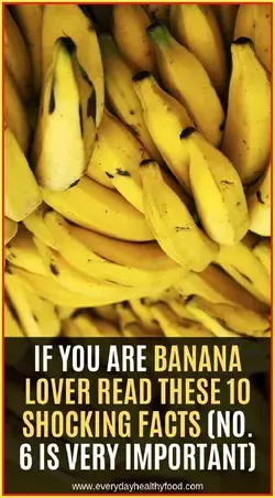 If You Are Banana Lover Read These 10 Shocking Facts (No. 6 Is Very Important)