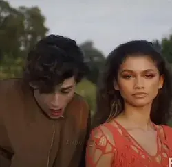 Timothée & Zendaya