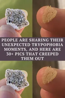 People Are Sharing Their Unexpected Trypophobia Moments, and Here Are 30+ Pics That Creeped Them Out