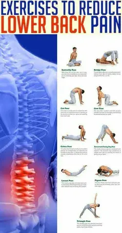 Exercises to reduce lower back pain