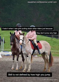 Horse memes