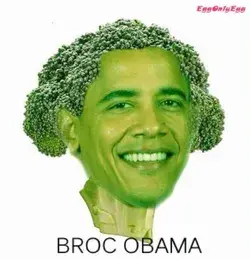 Broc obama