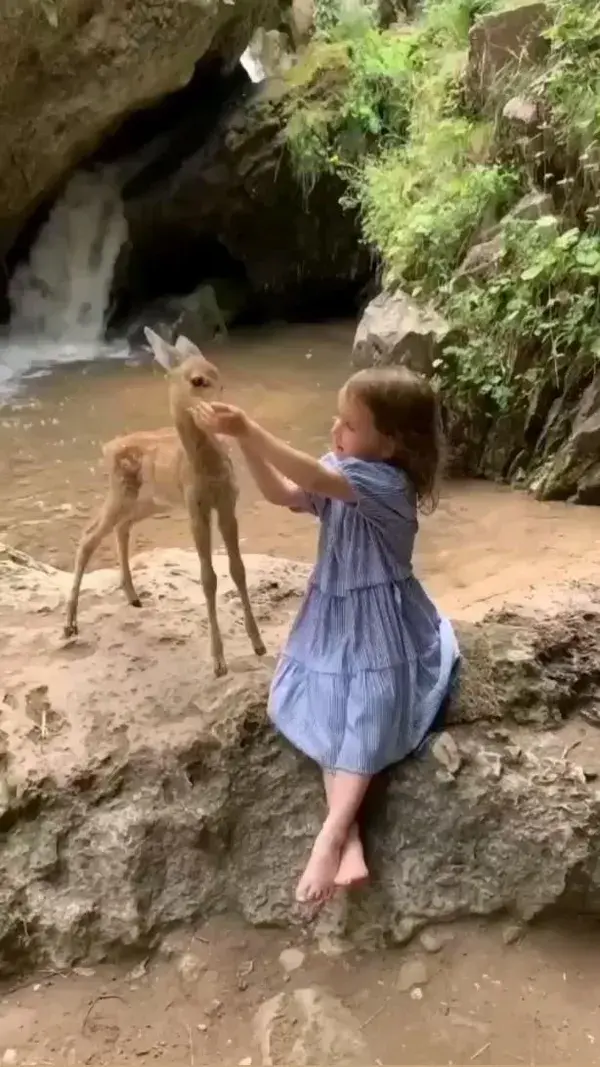 Mashallah🤗😘 soo cute