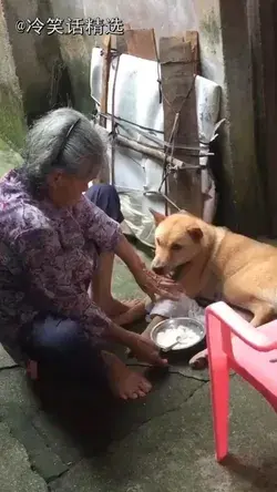 how grandparents keep pets