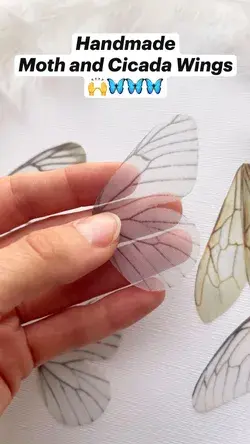 Handmade  Moth and Cicada Wings  🙌🦋🦋🦋 3D Silk Butterflies