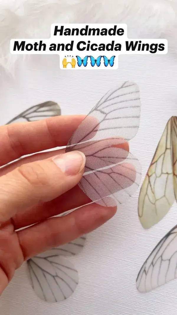 Handmade  Moth and Cicada Wings  🙌🦋🦋🦋 3D Silk Butterflies