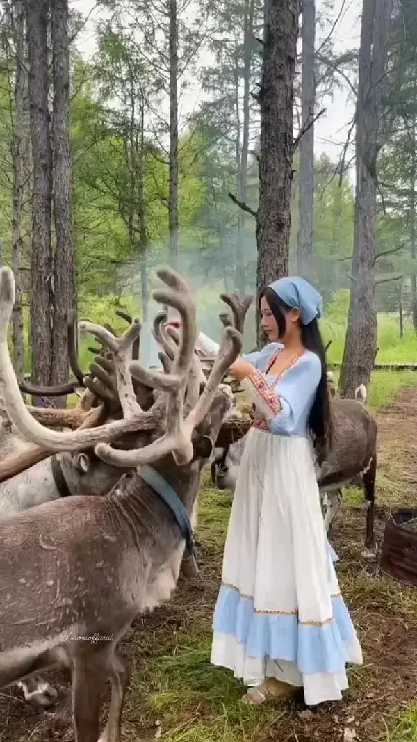 Lovely Reindeer Forrest Girl