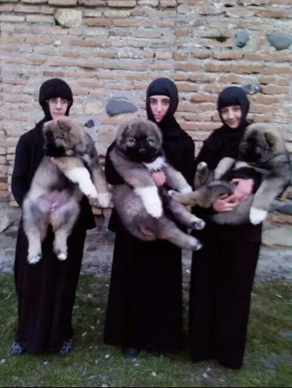 Orthodox Nuns